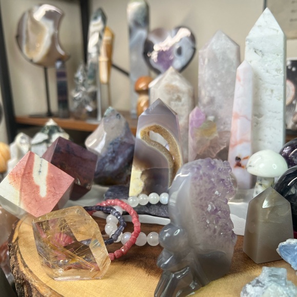 Like to be notified squid is live ✨✨ - Picture 9 of 11